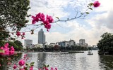 Cận cảnh phố đi bộ tuyệt đẹp bên hồ Trúc Bạch sẽ khai trương cuối năm 2022 ảnh 14