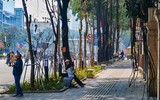 Ngắm hàng ghế đá tối giản tuyệt đẹp trong nắng xuân trên phố Nguyễn Chí Thanh ảnh 2