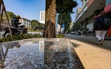 Ngắm hàng ghế đá tối giản tuyệt đẹp trong nắng xuân trên phố Nguyễn Chí Thanh ảnh 6