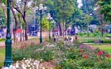 Diện mạo mới của Công viên Thống Nhất ảnh 1