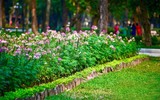 Diện mạo mới của Công viên Thống Nhất ảnh 3