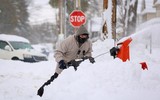 Người dân New York vật lộn trong trận bão tuyết lớn nhất năm  ảnh 7