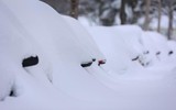 Người dân New York vật lộn trong trận bão tuyết lớn nhất năm  ảnh 4
