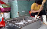Hà Nội: Đột kích cơ sở nghi tẩy trắng bạch tuộc bằng hóa chất