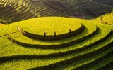 4 bức ảnh Việt Nam tuyệt đẹp trong top cuộc thi ảnh quốc tế EPSON 2019