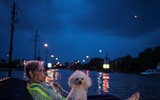 [ẢNH] Bị bão dữ bao vây, người Texas vẫn quyết ôm chặt… thú cưng