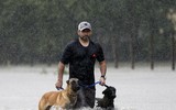 [ẢNH] Bị bão dữ bao vây, người Texas vẫn quyết ôm chặt… thú cưng