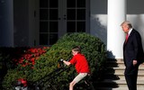 Thú vị khoảnh khắc Tổng thống Mỹ khích lệ cậu bé 11 tuổi... cắt cỏ