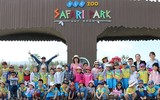 Thu hút hàng vạn lượt khách, vườn thú bán hoang dã tại Quy Nhơn có gì lạ?