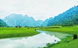 Ở Lạng Sơn có một thảo nguyên hoang sơ