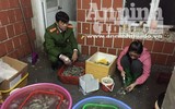 Cận cảnh quá trình bơm tạp chất vào tôm ở Hà Nội