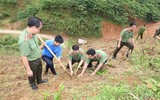 Tuổi trẻ Công an Thủ đô tham gia trồng 10.000 cây xanh ở mảnh đất dữ