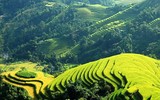Việt Nam có khu sinh thái được bầu chọn TOP 10 đẹp nhất thế giới