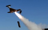 Việt Nam có nên mua sát thủ UAV cảm tử hủy diệt địch của Israel?