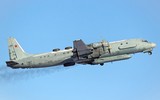 [ẢNH] 20 tên lửa Syria đã nhắm bắn vào chiếc máy bay Nga bị rơi, sự thật trớ trêu đến đau lòng
