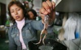 [ẢNH] Sinh tố ếch ở Peru, món ngon có phần rùng rợn