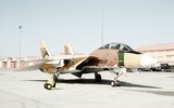 [ẢNH] Tại sao Mỹ có thể nhanh chóng phá hủy chiến đấu cơ mạnh nhất của Iran?