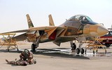 [ẢNH] F-14 Iran xua đuổi thành công 