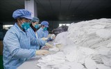 [ẢNH] Tại sao Trung Quốc lại đứng trước nguy cơ thừa hàng chục triệu khẩu trang?