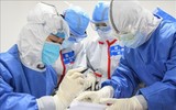 [ẢNH] Lý do Trung Quốc từ chối điều tra về nguồn gốc đại dịch Covid-19