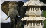 Mỹ tiêu hủy 2 tấn ngà voi và đồ tạo tác buôn bán trái phép