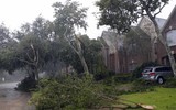 Siêu bão Havery nhấn chìm thành phố Houston