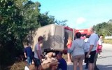 Tai nạn xe buýt tại Mexico, 12 người thiệt mạng