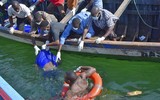 [ẢNH] Ám ảnh với cảnh vớt xác người thiệt mạng trong vụ lật phà ở Tanzania