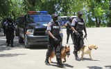 [ẢNH] Top 10 lực lượng cảnh sát liên quan hối lộ nhiều nhất trên thế giới