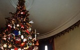 Lịch sử 80 năm cây thông Giáng sinh Nhà Trắng