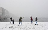 Dãy Alps tuyết lở - Ít nhất 12 người thiệt mạng vì tuyết lớn và gió mạnh ở Châu Âu