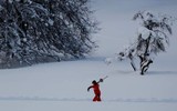 Dãy Alps tuyết lở - Ít nhất 12 người thiệt mạng vì tuyết lớn và gió mạnh ở Châu Âu