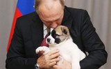 [ẢNH] Thú cưng, quà sinh nhật đặc biệt của Tổng thống Nga Vladimir Putin