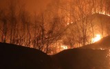 [ẢNH] Hiện trường vụ cháy rừng tàn khốc ở Hàn Quốc