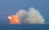 [ẢNH] Hải quân Nga nâng cấp tàu tên lửa Nanuchka tiệm cận tính năng Karakurt
