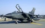 [ẢNH] Đức theo chân Pháp tiến vào Đông Bắc Syria thiết lập vùng cấm bay?