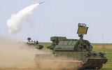 [ẢNH] Tính năng vượt trội Pantsir-S1 nhưng vì sao Nga vẫn chưa cấp Tor-M2U cho Syria?