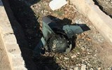 [ẢNH] Chính trị gia Ukraine đòi Nga phải chịu trách nhiệm vì tên lửa Tor-M1 bắn rơi Boeing 737