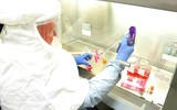 [ẢNH] Chuyên gia Đức đưa ra dự báo gây choáng về thời gian kết thúc đại dịch SARS-CoV-2