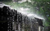 [ẢNH] Những khu vực hứng chịu mưa bão nhiều nhất thế giới