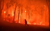 [ẢNH] Nhìn lại những thảm họa thiên nhiên từng xảy ra trong năm 2019