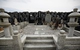 [ẢNH] Bên trong vùng cấm tại Fukushima 9 năm sau thảm họa
