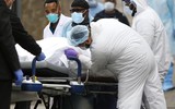[ẢNH] Số người chết tương đương trong vụ 11-9, New York chịu ảnh hưởng nặng nề do đại dịch Covid-19