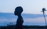 [ẢNH] Ba bộ phim về vấn đề sắc tộc từng được trao giải Oscar