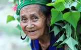 Ngắm những hình ảnh tuyệt đẹp về người phụ nữ Việt chịu thương chịu khó