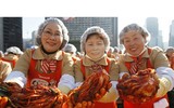 Tưng bừng trải nghiệm 10 lễ hội đặc sắc nhất Hàn Quốc