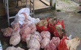 [Ảnh] Chưa đến Tết, thực phẩm bẩn lại tìm đường len lỏi vào thành phố, các khu dân cư