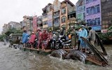 [ẢNH] Những trận lụt lịch sử biến Hà Nội thành 