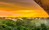 [Ảnh] Xót xa vẻ đẹp huyền bí của rừng rậm Amazon trước khi xảy cháy kinh hoàng