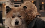[ẢNH] Nhìn từ phim Cậu vàng điểm lại những bộ phim cảm động nhất mọi thời đại về loài chó